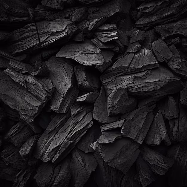 Charcoal